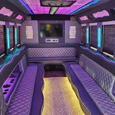 Austin party bus package—10 passengers for 5 hours, includes 2 entertainers
